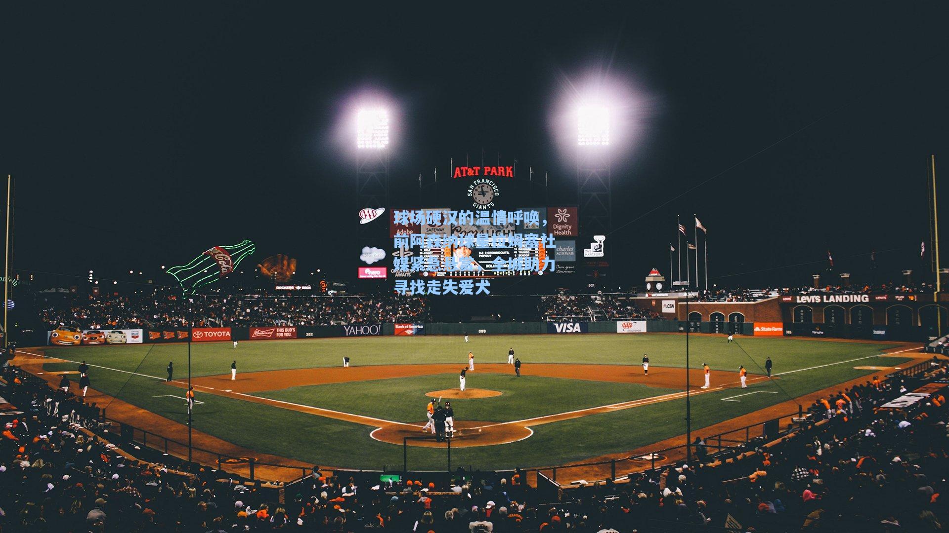 球场硬汉的温情呼唤，前阿森纳球星拉姆塞社媒紧急悬赏，全城助力寻找走失爱犬